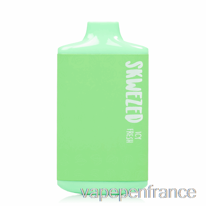 Stylo Vape Frais Glacé Jetable Skwezed 5k